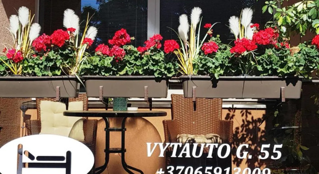 Апартаменты 2 kambarių apartamentai su virtuve, Trakų miesto centre