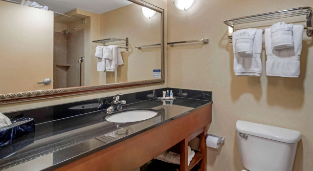 Четырёхместный номер Standard Comfort Suites Fredericksburg North