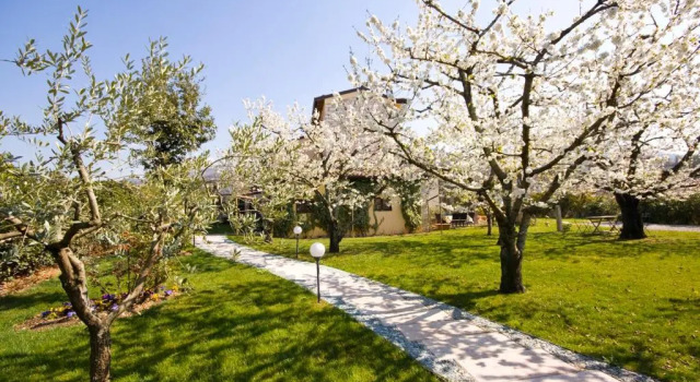 Номер Deluxe Villa Gesi