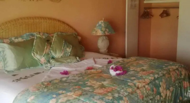 Номер Standard Coco Reef Resort & Spa