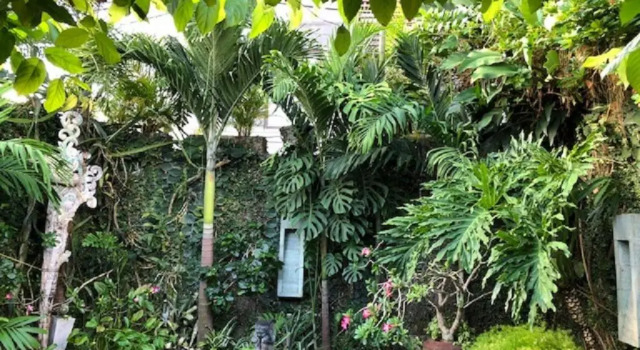 Вилла Villa Wonderland
