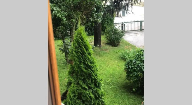 Brunico 19