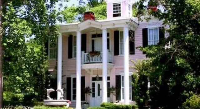 The Pink Dolphin Bed and Breakfast