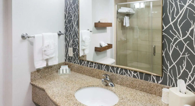 Двухместный номер с диваном Hilton Garden Inn Austin North