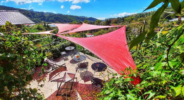 Номер Standard Villa Alejandro