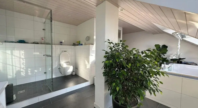 Номер Superior VK - VB - Zürich Airport - Homestay - Villa Bänikon