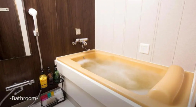 Двухместный номер Standard Hotel Pasela no mori Yokohama Kannai