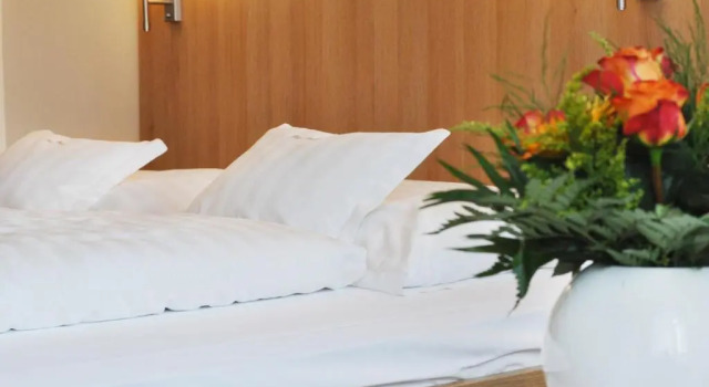 Hotel Fortuna, Buchen Sie Hotel Stockach Bodensee-Radweg