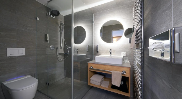 Suite Clásica Aparthotel Grischuna