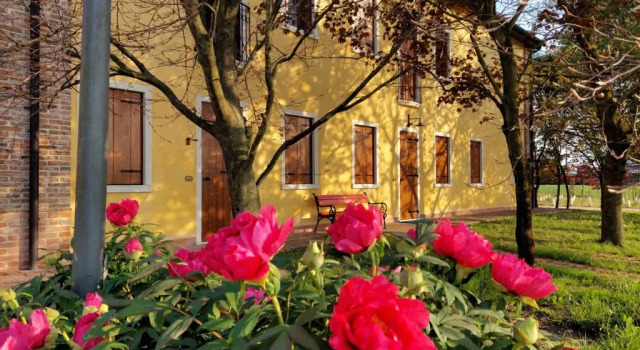 Fattoria Grimana, Book Hotel Montegalda 
