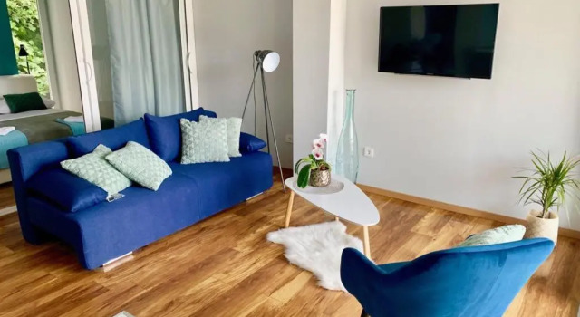 Апартаменты c 1 комнатой Deluxe Suites Mandić