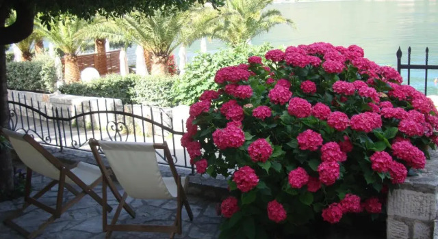 Villa Zvicer, Book Villa Sommerhuse i Kotor Riviera, Hytte