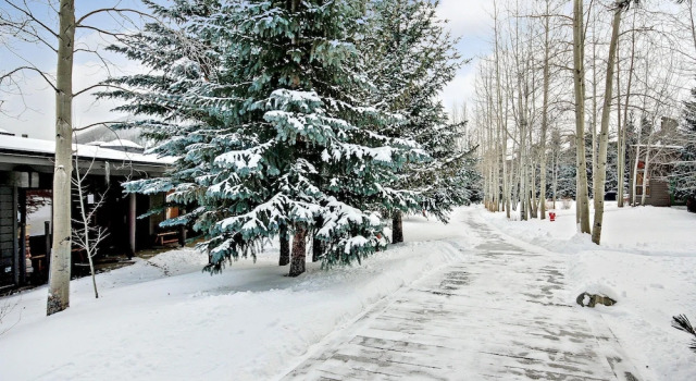 Номер Standard Homestead 2031 by SummitCove Vacation Lodging