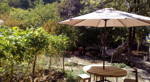 Borjomi Makvalas Guest House, Book Guesthouse Likani Samckhe Javakheti