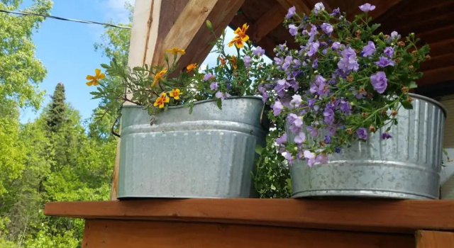 Deluxe cameră Cache Cabins