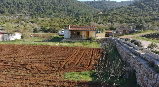 Коттедж Holiday Home Cvitka