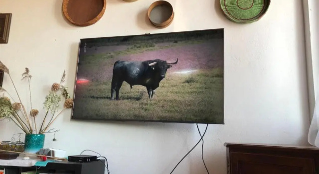 Коттедж Il mare in tasca