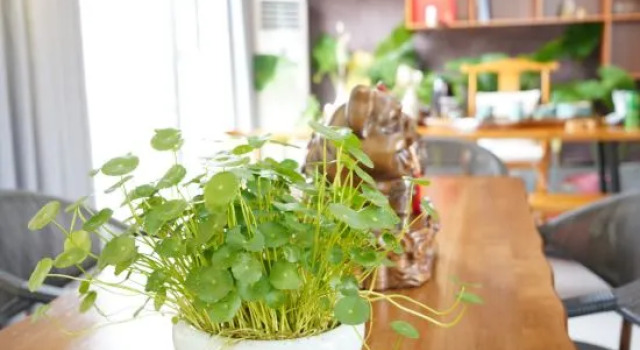 Xihai Yanshan Homestay