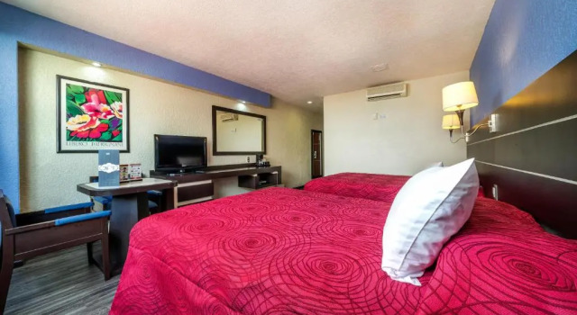 Четырёхместный номер Standard Hotel Parque Satelite