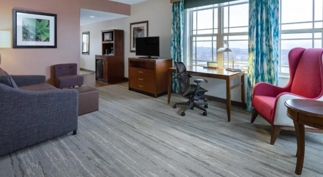Люкс с видом на горы Hilton Garden Inn Roanoke