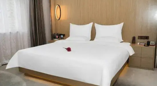 Люкс Deluxe yinchuan  xiyue Holiday hotel