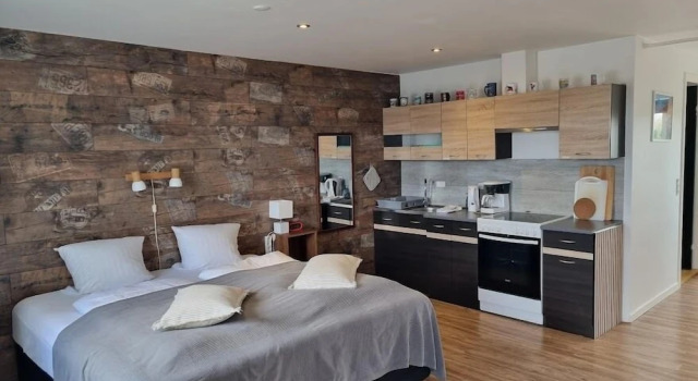 Люкс Deluxe Vestbjerg Apartments
