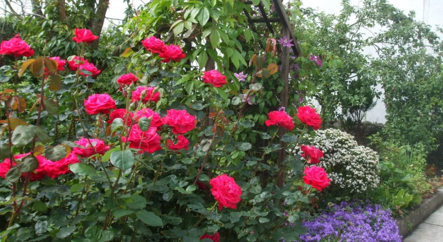 Green Hill B&B, Buchen Sie Bed & Breakfast Ballina Mayo