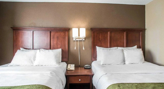 Четырёхместный номер Standard Comfort Suites Columbia - University Area