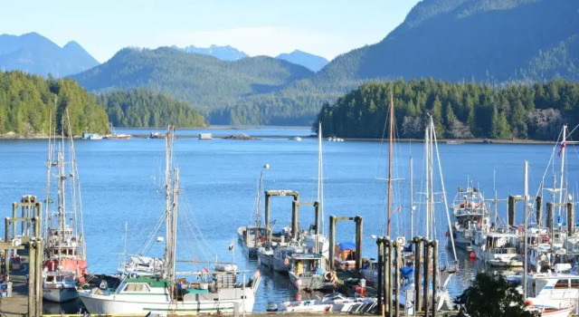 Номер Standard с балконом и с видом на океан Tofino Motel Harbourview