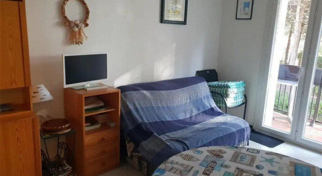 Appartement Argelès-sur-Mer, 2 pièces, 4 personnes - FR-1-388-43