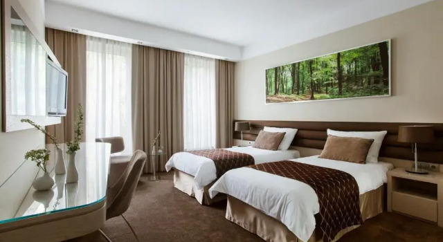 Номер Standard Hotel Narvil Conference & Spa