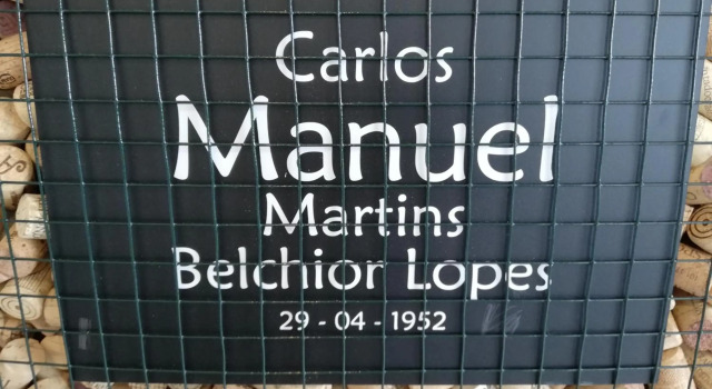 Manuel Apartment - Belch1952