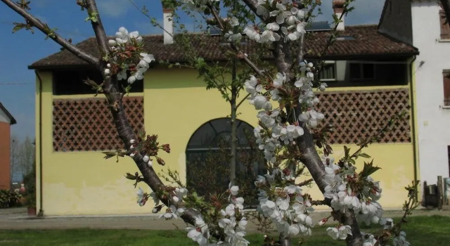 B&B Corte Cornalino, Varaa Bed and Breakfast Roverbella Lombardia
