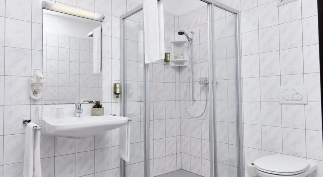Номер Standard Naturhotel Schloss Kassegg