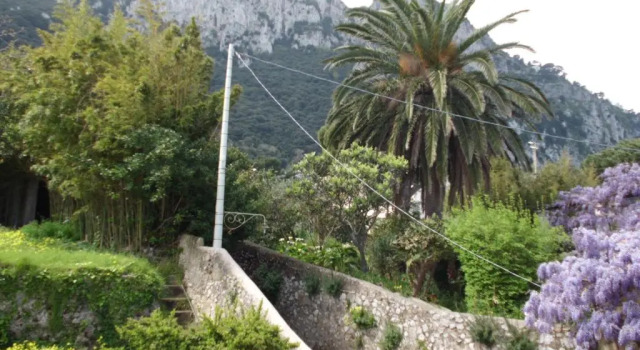 Standaard Tweepersoonskamer uitzicht op de stad Capri Inn