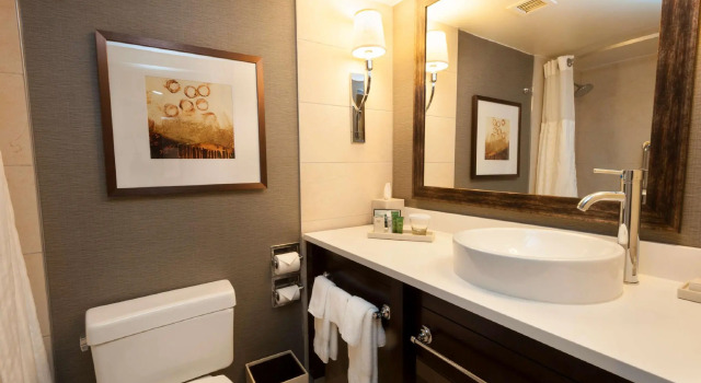 Четырёхместный номер Standard Hilton Harrisburg near Hershey Park