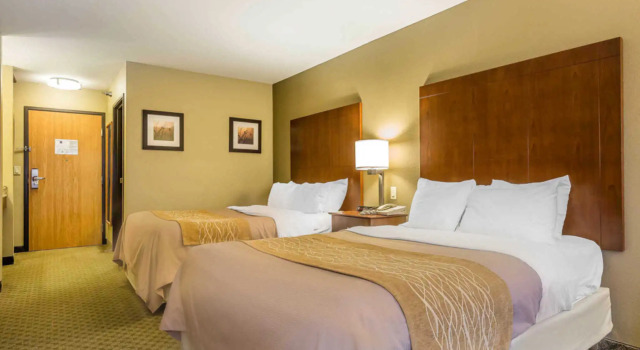 Номер Standard Comfort Inn & Suites East Moline near I-80