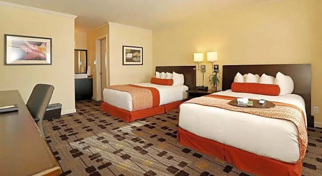 Номер Deluxe The Zen Hotel Palo Alto