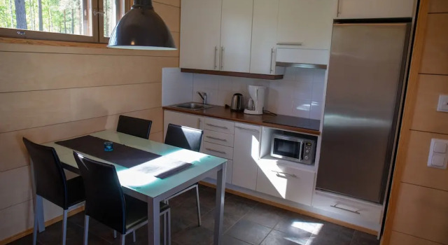 Апартаменты c 1 комнатой Kuoreksenniemi Villas & Lakehouse