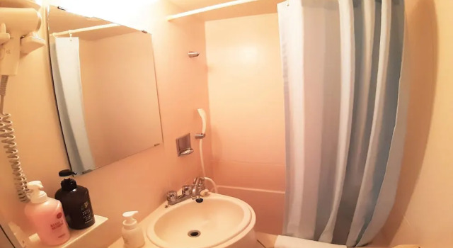 Номер Standard Isahaya Terminal Hotel
