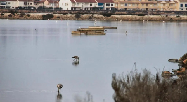 Seaside House in El Mojon, Забронировать Отель Пилар-де-ла-Орадада Коста-Бланка