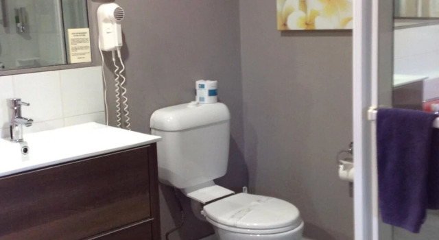 Номер Deluxe Avlon Gardens Motel