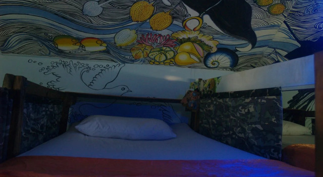 Peacock Hostel