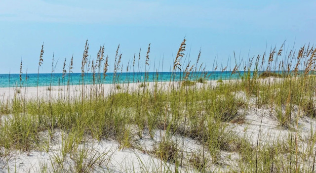 Amazing Inlet Beach Location for Beach, Shopping and Dining, Book Feriehus Villaer i Inlet Beach, Villa