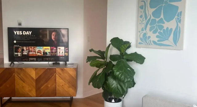 Lovely one-bedroom apartment with swiming pool, hot-tube and gym in central location, Забронировать Апартаменты/квартира Апартаменты Ванкувера, Апартаменты/квартира