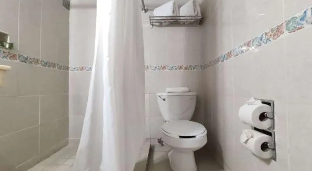 Двухместный номер Standard Burnett Arms Hotel