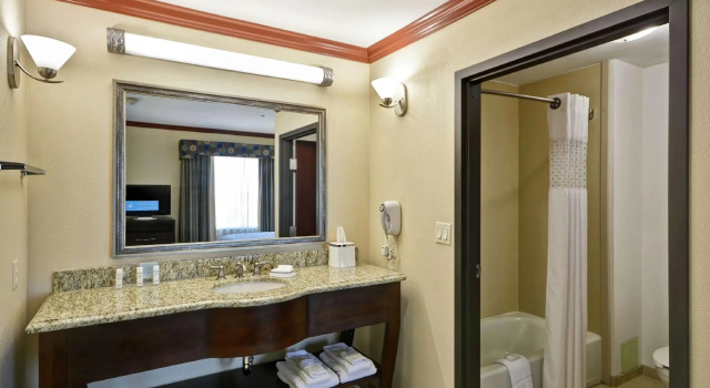Двухместный люкс Hampton Inn & Suites Corpus Christi I-37 - Navigation Blvd