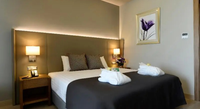 Номер Standard Holiday Inn Bursa - City Centre by IHG