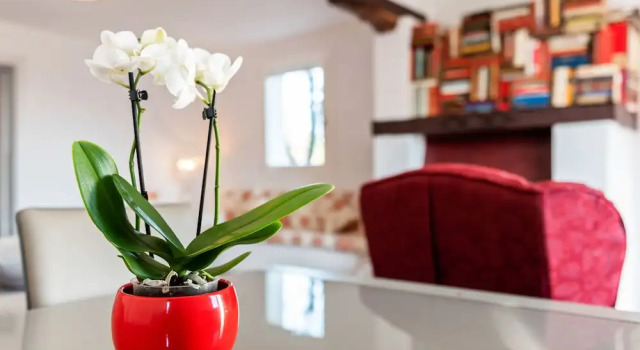 Charming Apartment in Monteprandone With Garden, Rezervovat Apartmán  