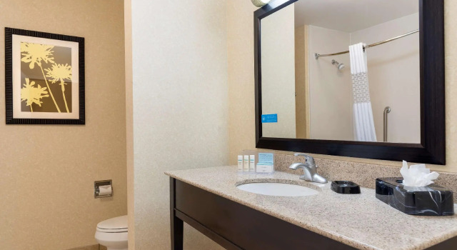 Двухместный люкс Hampton Inn Detroit Roseville